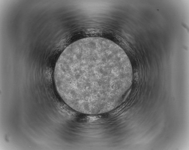 X0000094790662200712071229