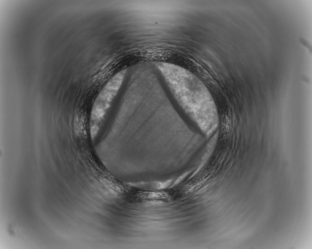 X0000094790663200712071230