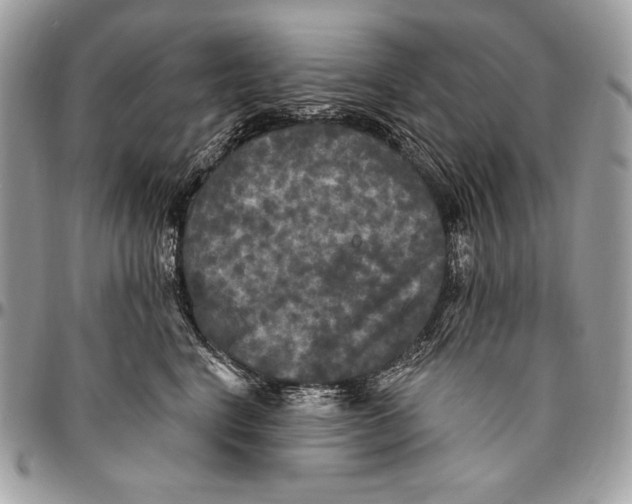 X0000094790664200712071230