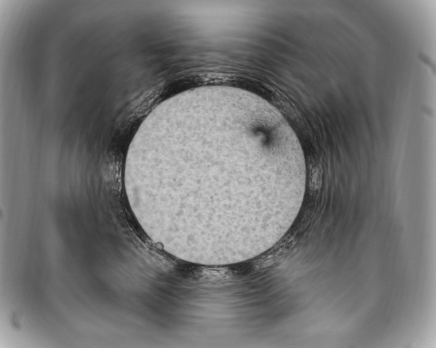 X0000094790666200712071230