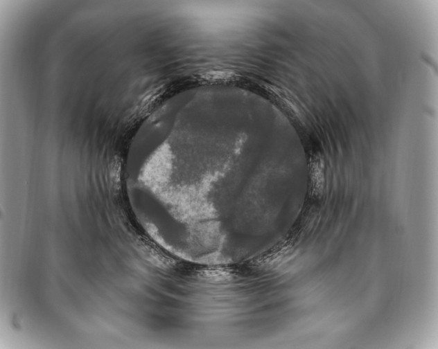 X0000094790668200712071230