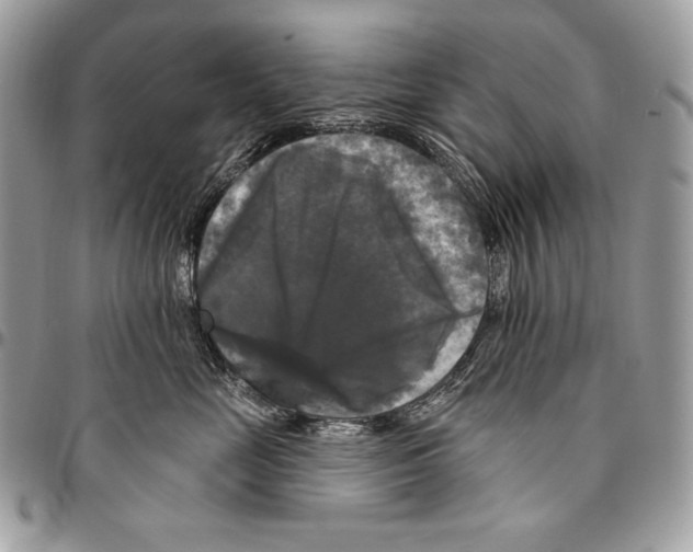 X0000094790669200712071230