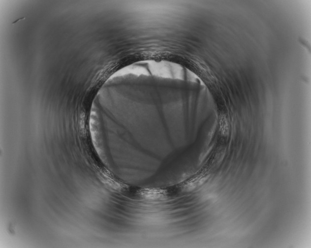 X0000094790670200712071230