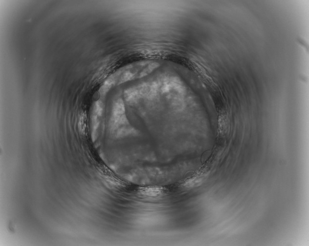 X0000094790671200712071230