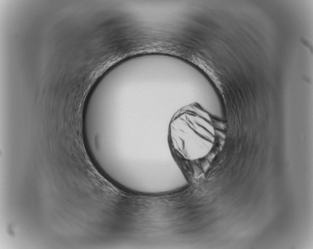 X0000094790673200712071229