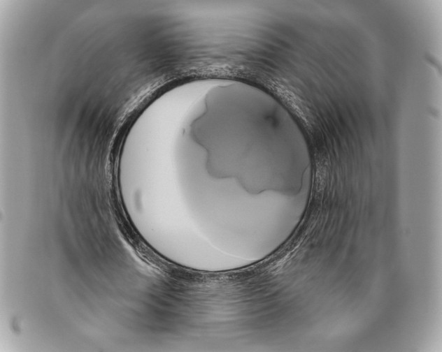 X0000094790674200712071229