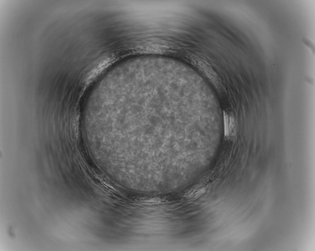 X0000094790675200712071229