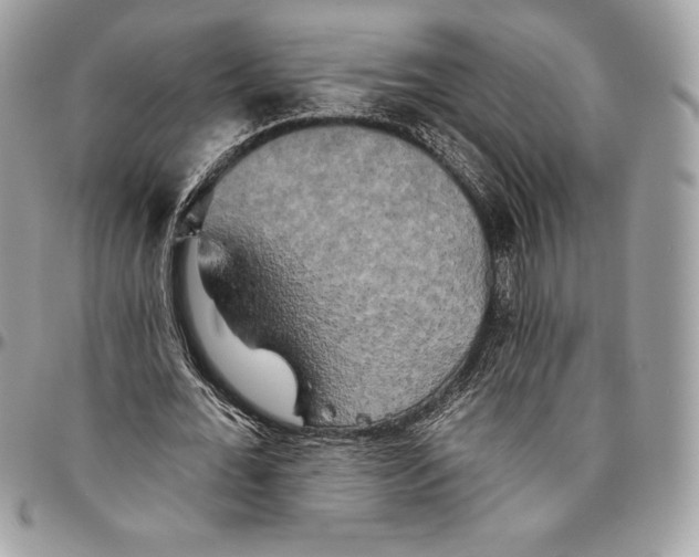 X0000094790676200712071229