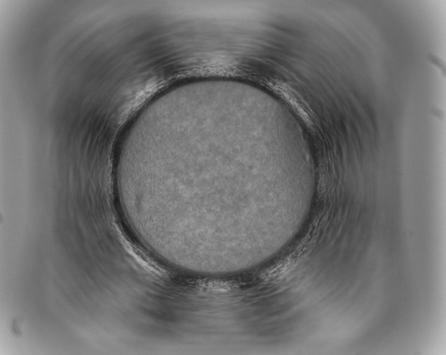 X0000094790677200712071229