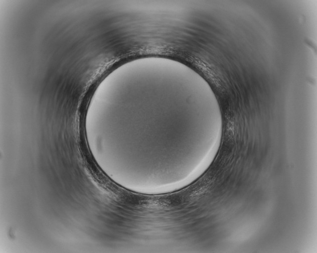 X0000094790678200712071229