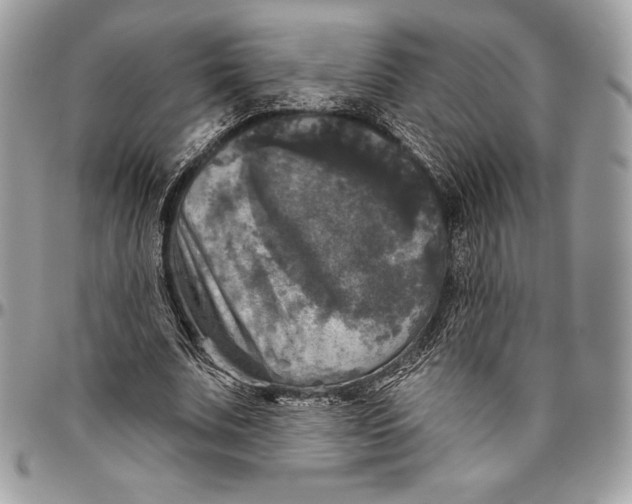 X0000094790679200712071229