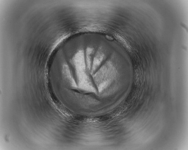 X0000094790680200712071229