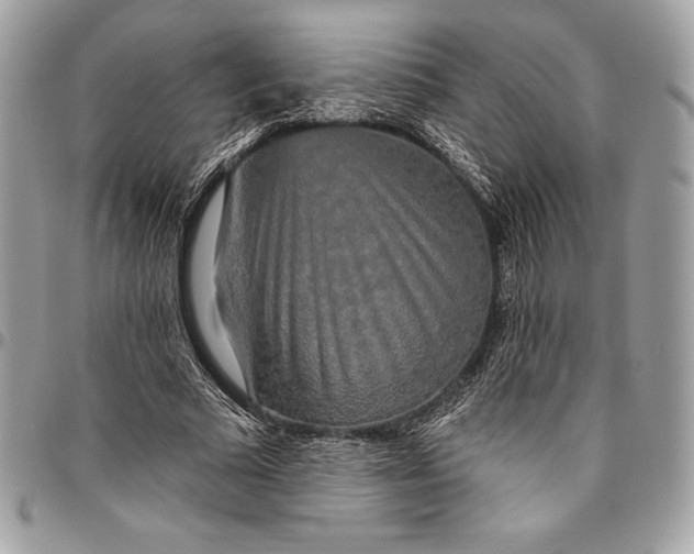 X0000094790681200712071229