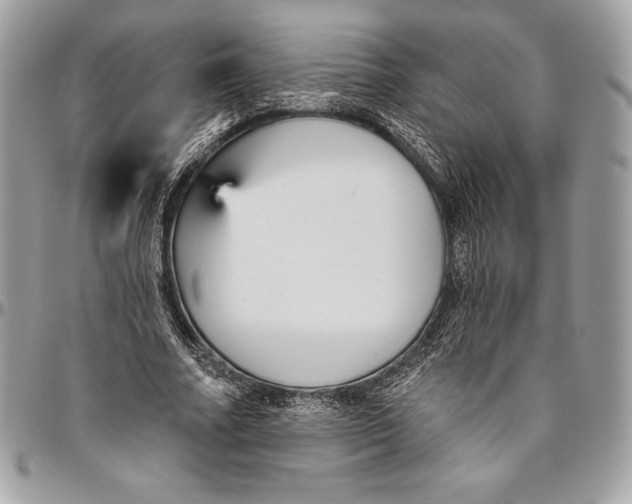 X0000094790682200712071229