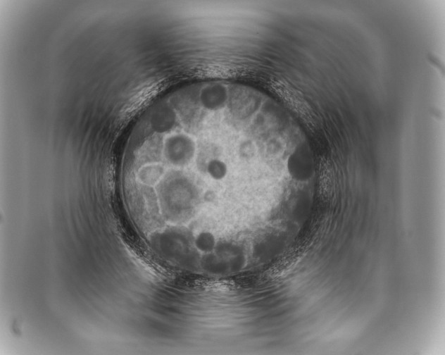 X0000094790683200712071229