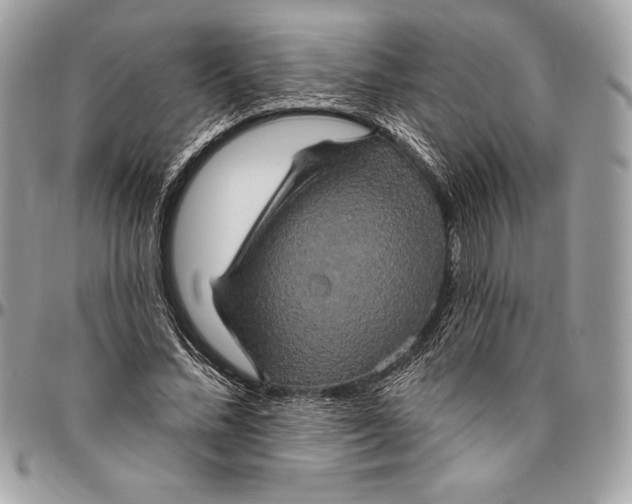 X0000094790684200712071229