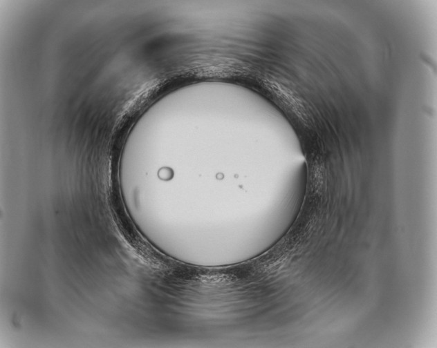 X0000094790686200712071229