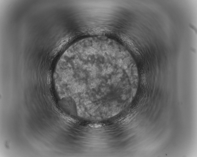 X0000094790687200712071229