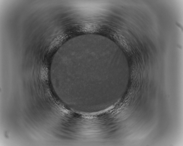 X0000094790689200712071229