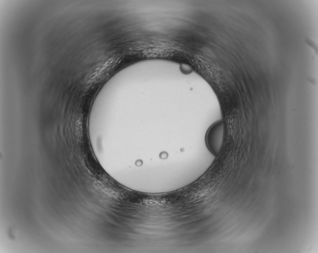 X0000094790690200712071229