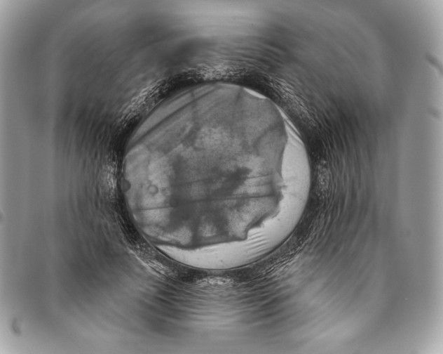 X0000094790691200712071229