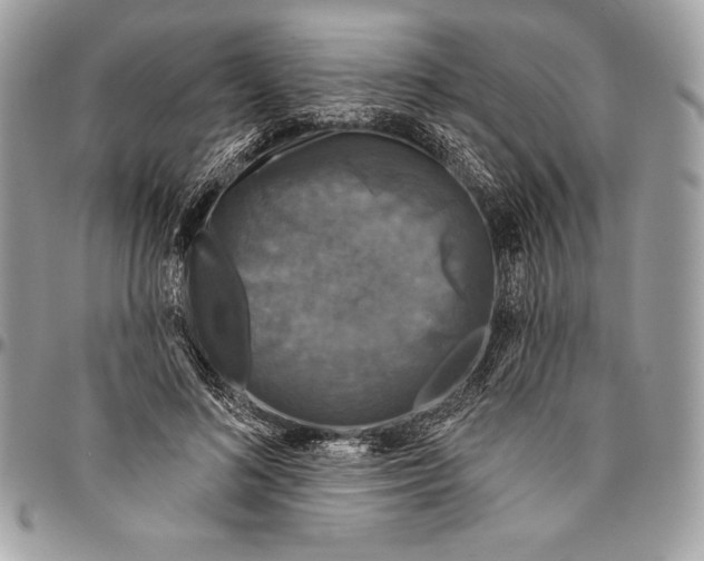 X0000094790692200712071229