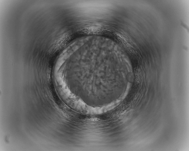 X0000094790695200712071229