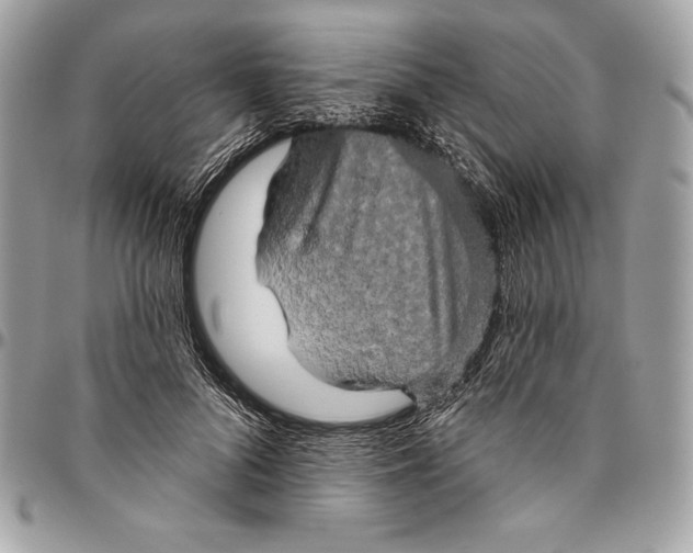 X0000094790696200712071229