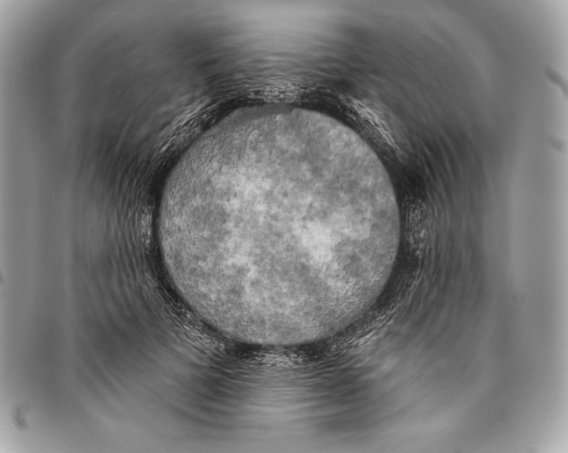 X0000094790697200712071229