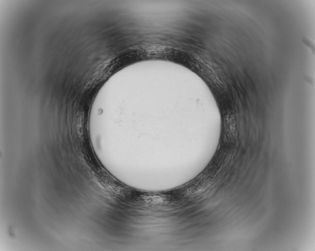 X0000094790698200712071229