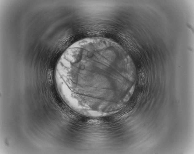 X0000094790699200712071229