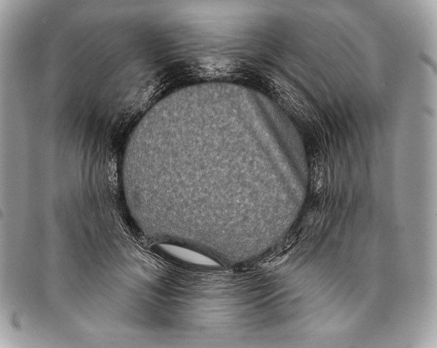 X0000094790700200712071229