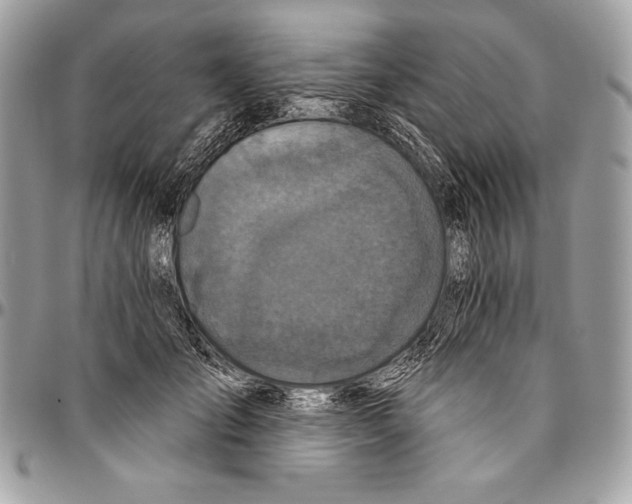 X0000094790701200712071229