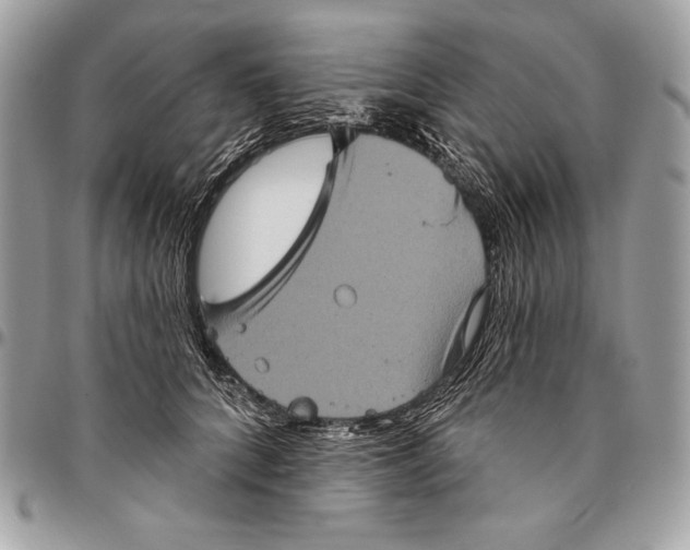 X0000094790704200712071229