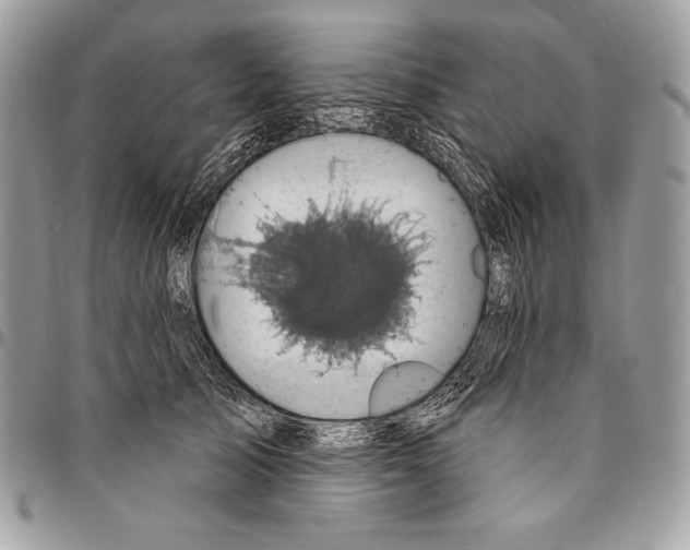 X0000094790705200712071229