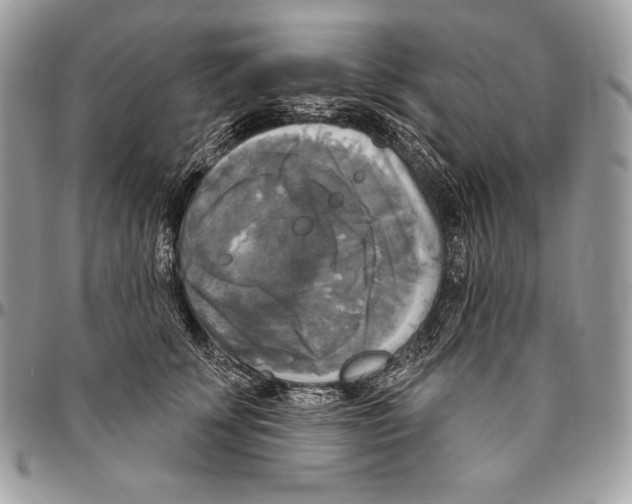 X0000094790707200712071229