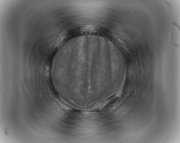 X0000094790708200712071228