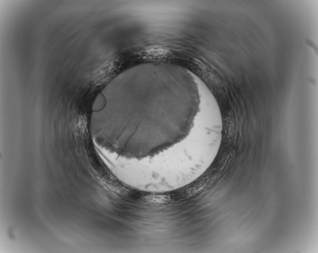 X0000094790711200712071228