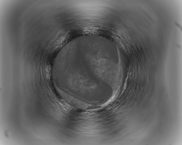 X0000094790712200712071228