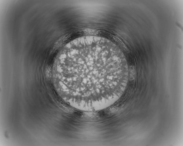 X0000094790713200712071228