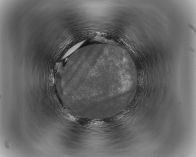 X0000094790716200712071228