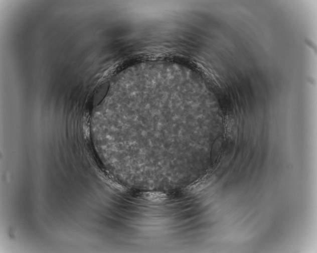 X0000094790719200712071228