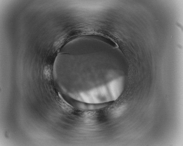 X0000094790720200712071228