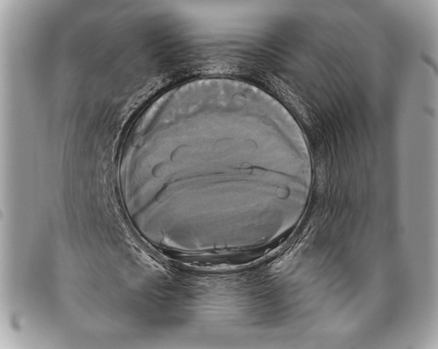 X0000094790721200712071227