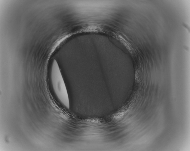 X0000094790724200712071228