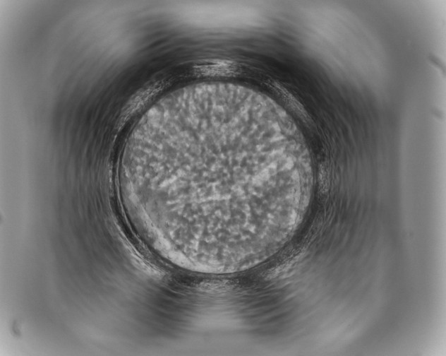 X0000094790725200712071228