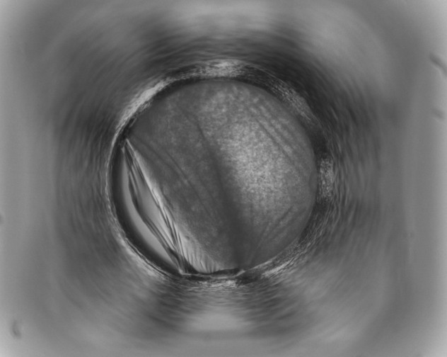 X0000094790726200712071228