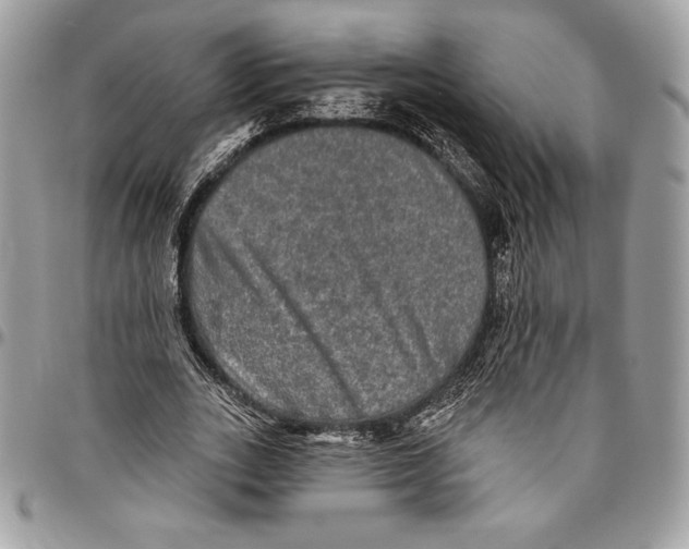 X0000094790727200712071228