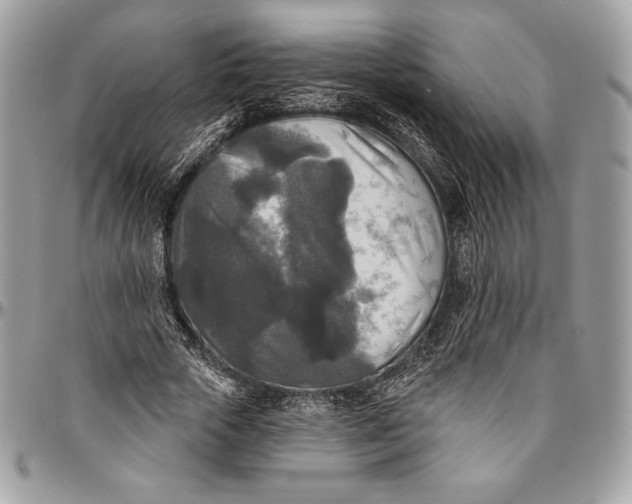 X0000094790729200712071228