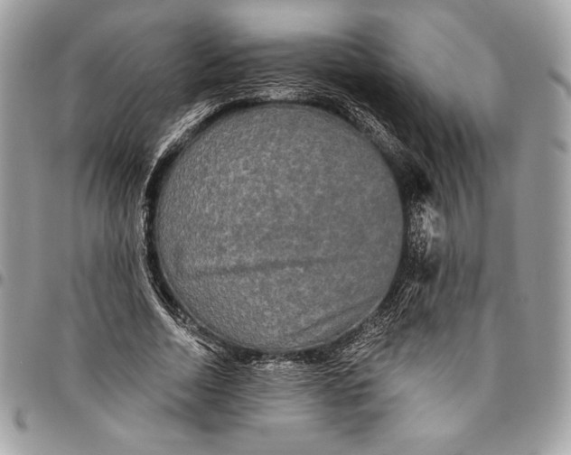 X0000094790730200712071228